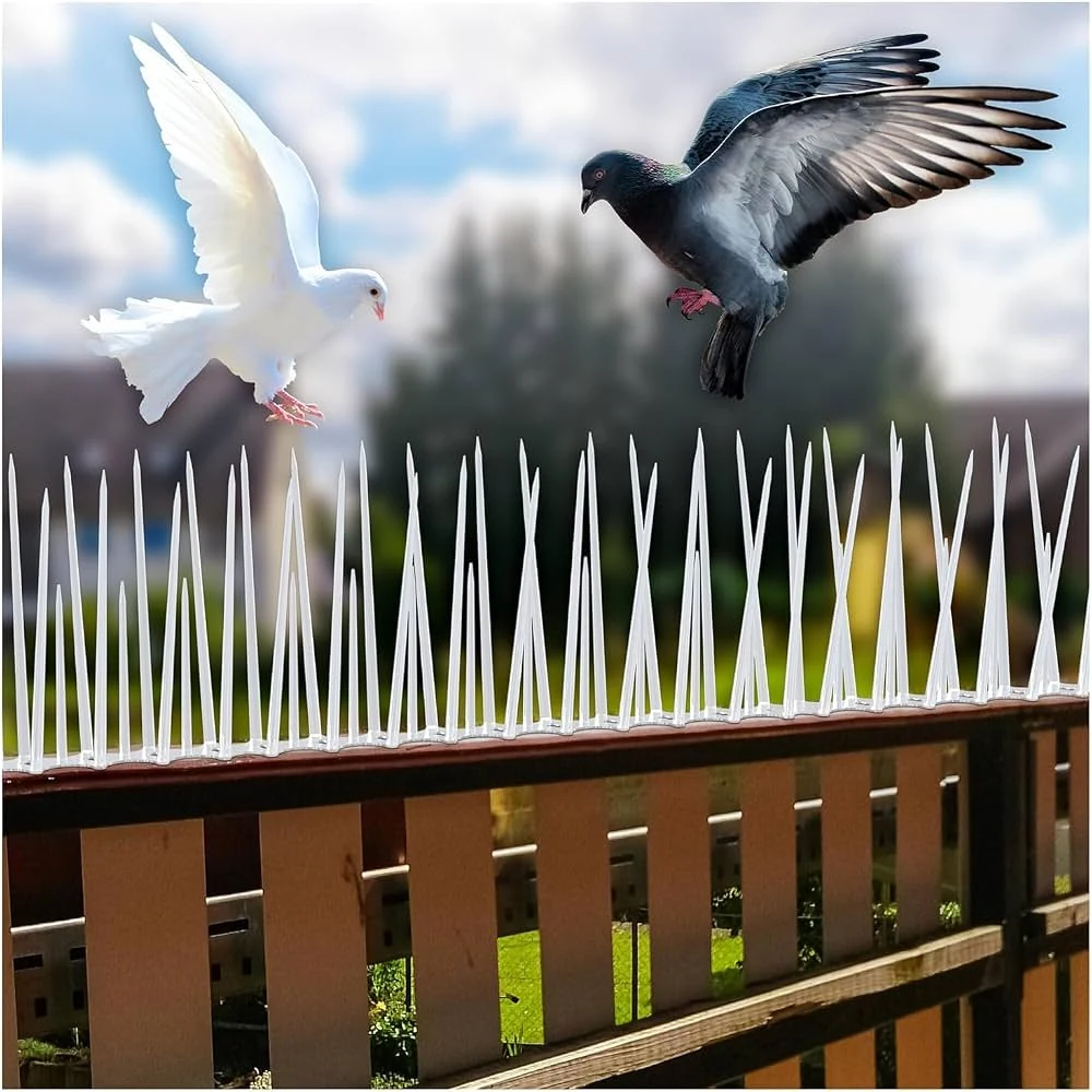 Bird & Pigeon Control — Keep pigeons off balconies, ducts and ledges — without harming them.
