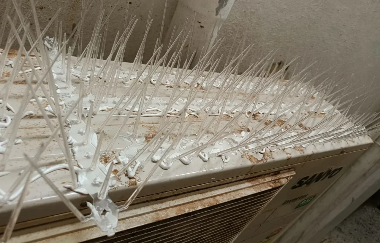 Safety nets and invisible grills in Rajahmundry