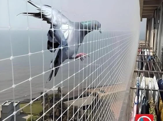 Pigeon Safety Nets — Close the balcony to pigeons permanently, without harming a single bird.
